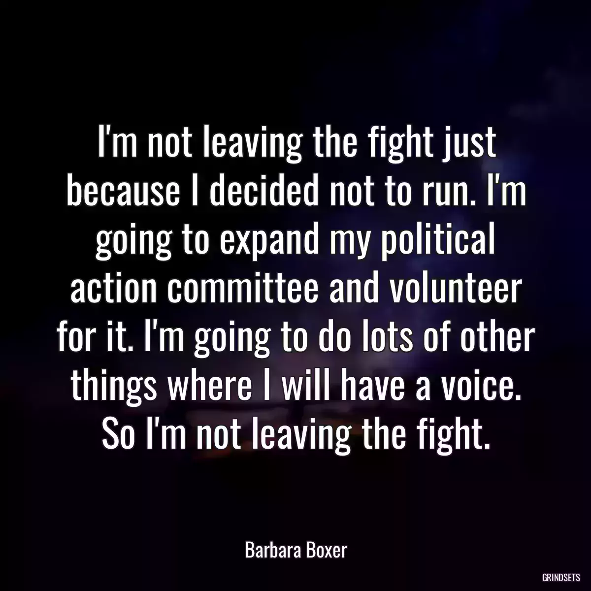 I\'m not leaving the fight just because I decided not to run. I\'m going to expand my political action committee and volunteer for it. I\'m going to do lots of other things where I will have a voice. So I\'m not leaving the fight.