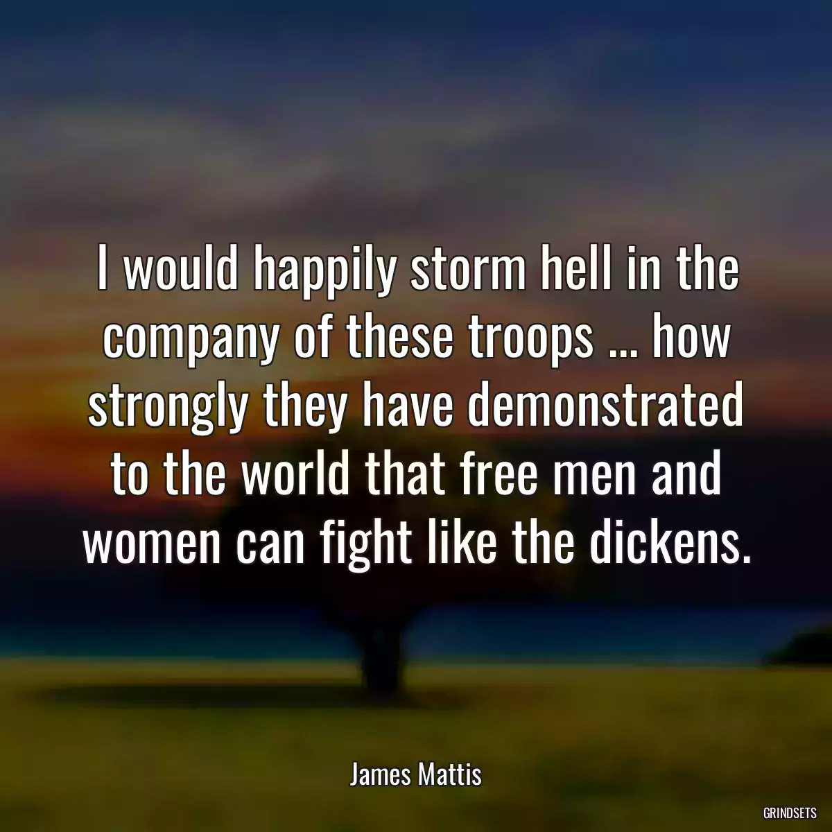 I would happily storm hell in the company of these troops ... how strongly they have demonstrated to the world that free men and women can fight like the dickens.