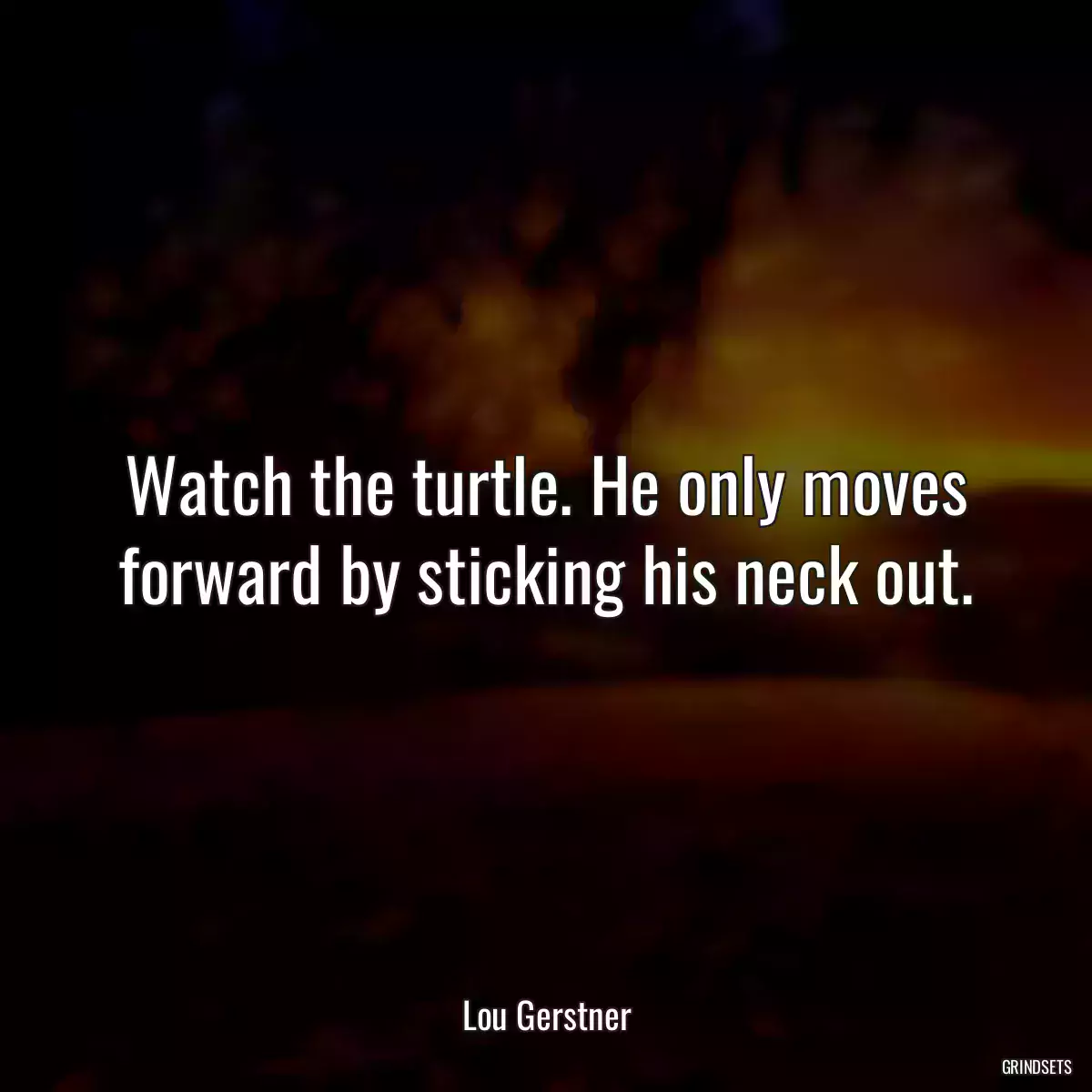 Watch the turtle. He only moves forward by sticking his neck out.