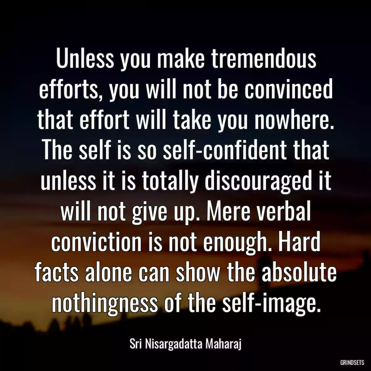 Unless you make tremendous efforts, you will not be convinced that effort will take you nowhere. The self is so self-confident that unless it is totally discouraged it will not give up. Mere verbal conviction is not enough. Hard facts alone can show the absolute nothingness of the self-image.