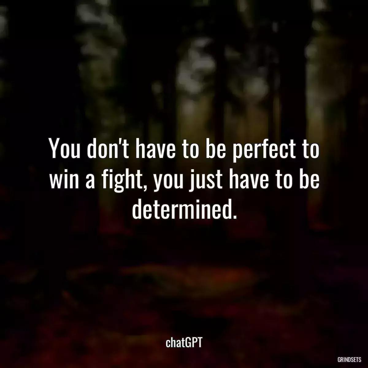 You don\'t have to be perfect to win a fight, you just have to be determined.