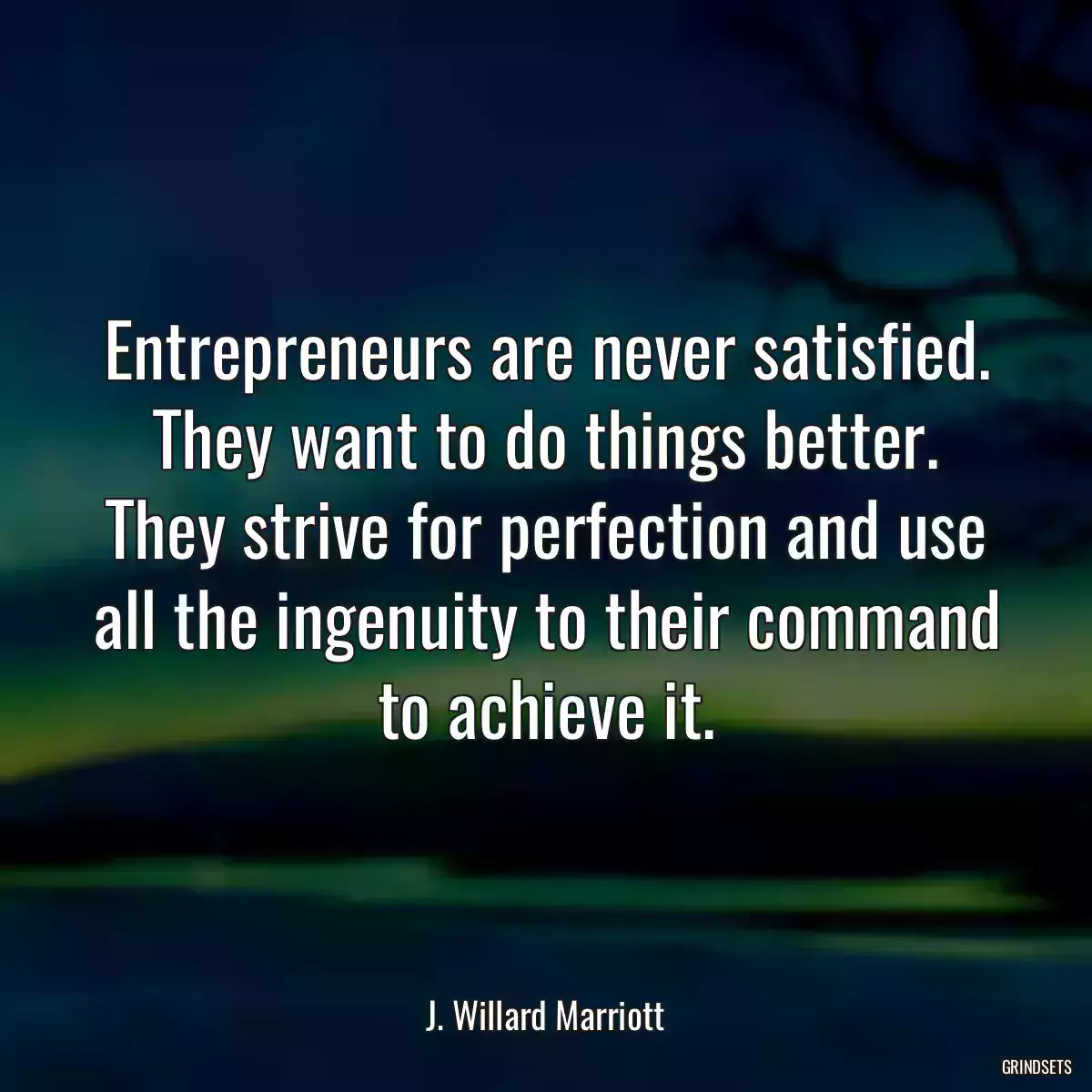 Entrepreneurs are never satisfied. They want to do things better. They strive for perfection and use all the ingenuity to their command to achieve it.