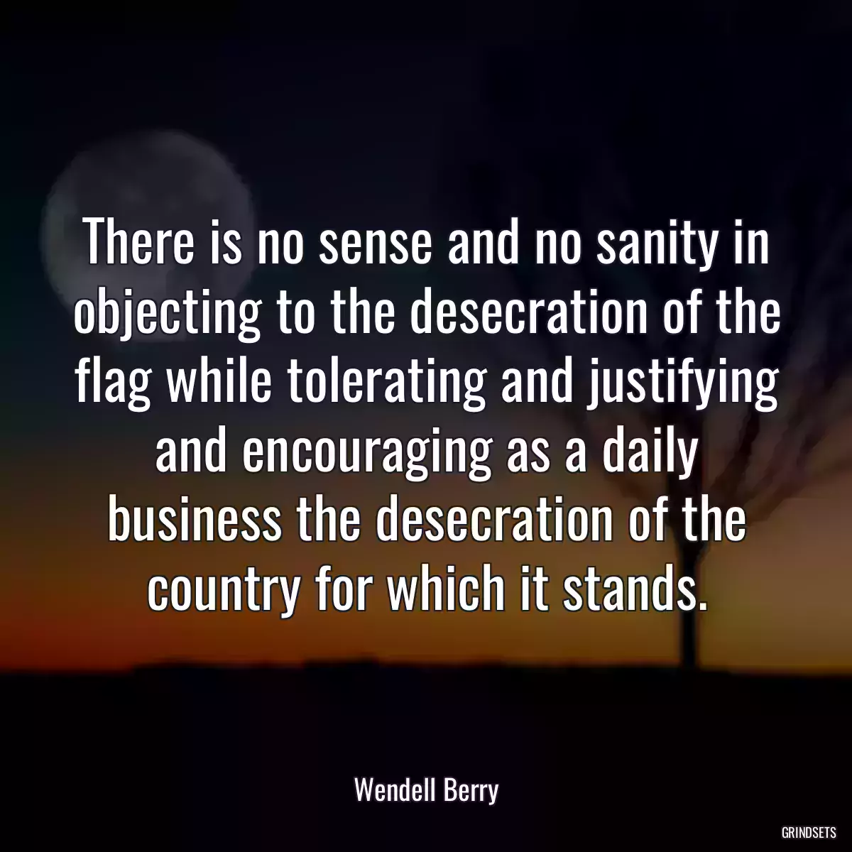 There is no sense and no sanity in objecting to the desecration of the flag while tolerating and justifying and encouraging as a daily business the desecration of the country for which it stands.