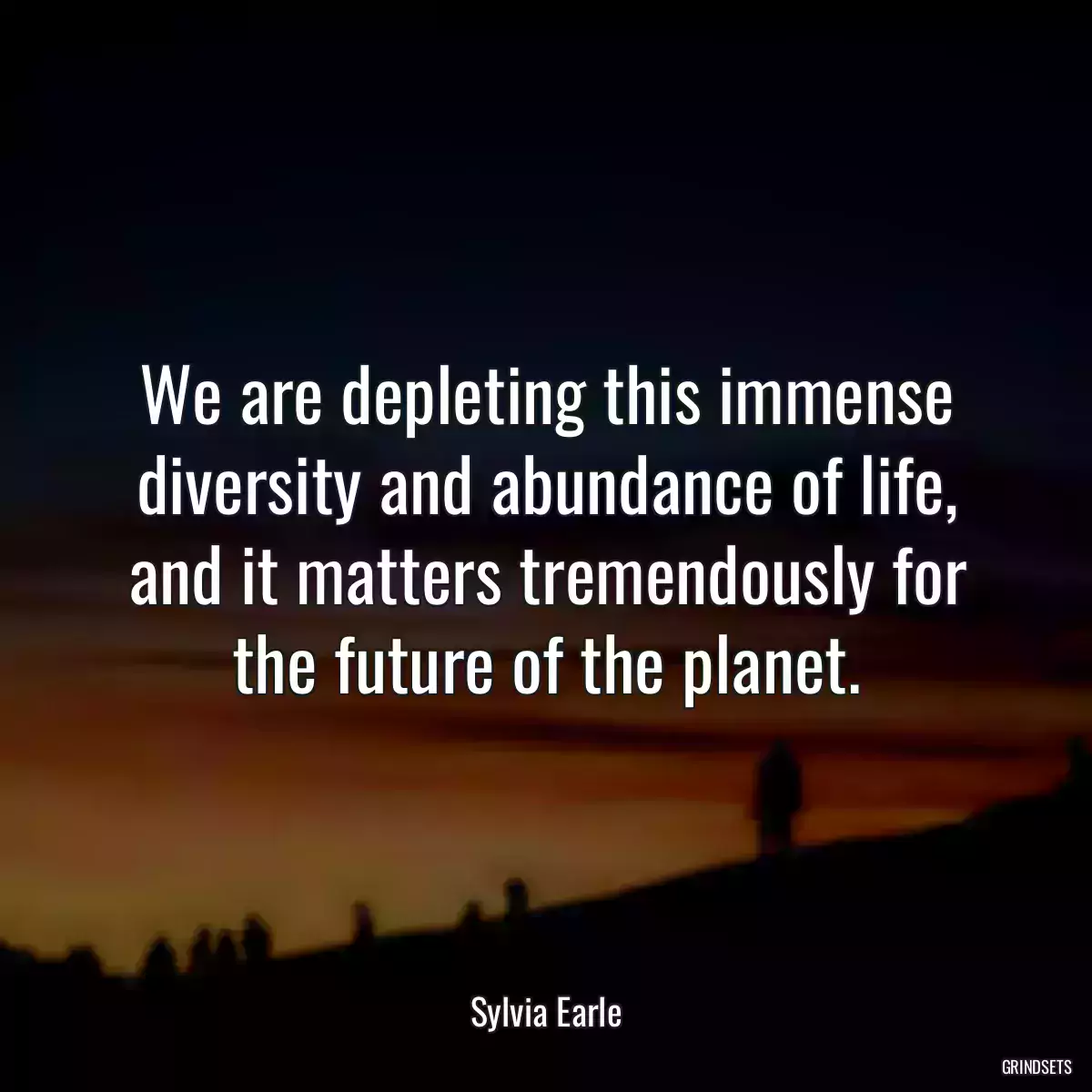 We are depleting this immense diversity and abundance of life, and it matters tremendously for the future of the planet.