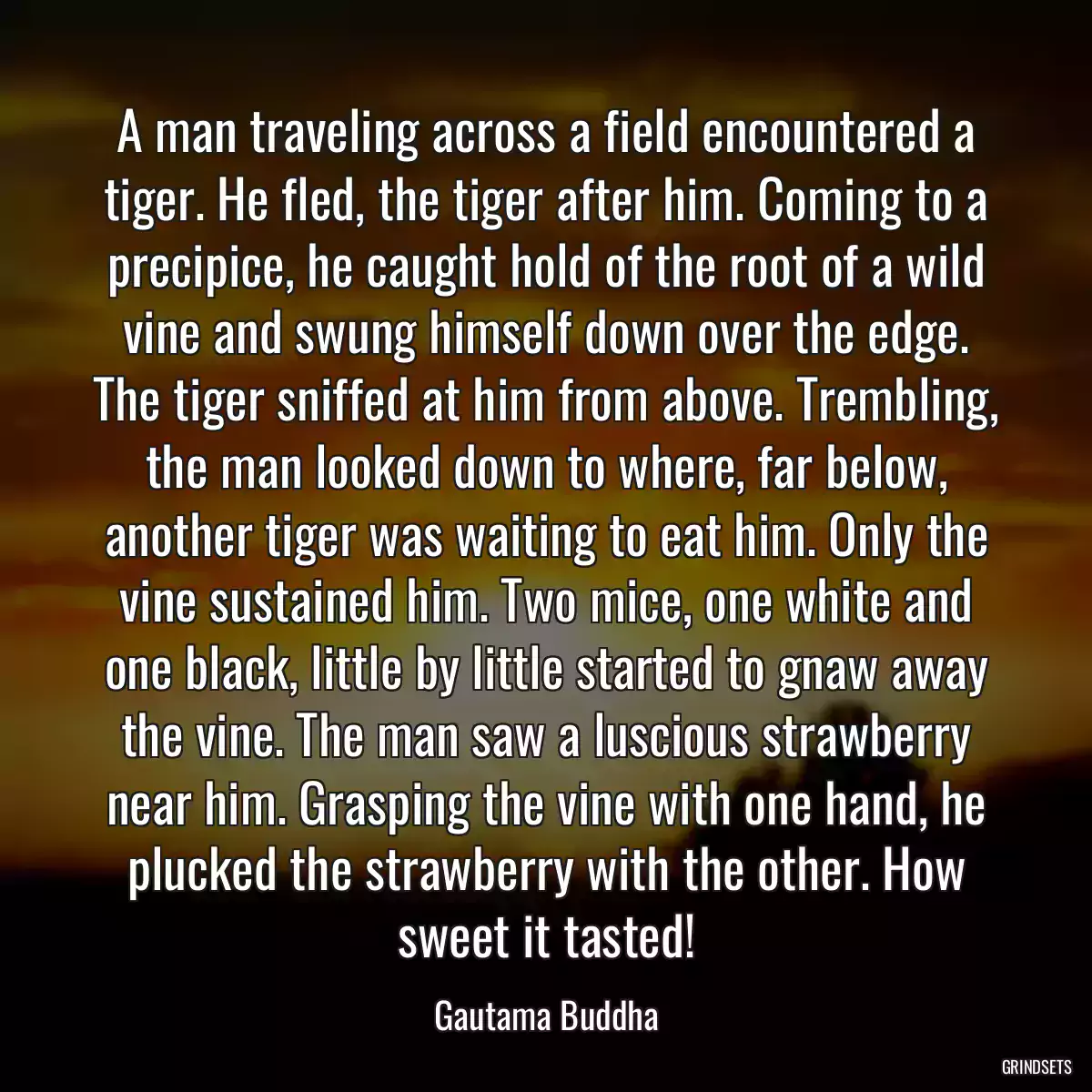 A man traveling across a field encountered a tiger. He fled, the tiger after him. Coming to a precipice, he caught hold of the root of a wild vine and swung himself down over the edge. The tiger sniffed at him from above. Trembling, the man looked down to where, far below, another tiger was waiting to eat him. Only the vine sustained him. Two mice, one white and one black, little by little started to gnaw away the vine. The man saw a luscious strawberry near him. Grasping the vine with one hand, he plucked the strawberry with the other. How sweet it tasted!