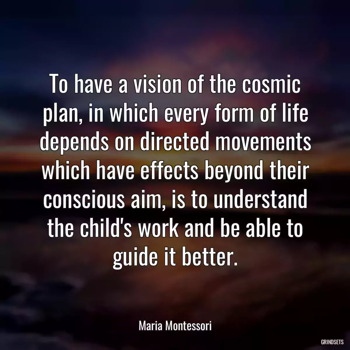 To have a vision of the cosmic plan, in which every form of life depends on directed movements which have effects beyond their conscious aim, is to understand the child\'s work and be able to guide it better.