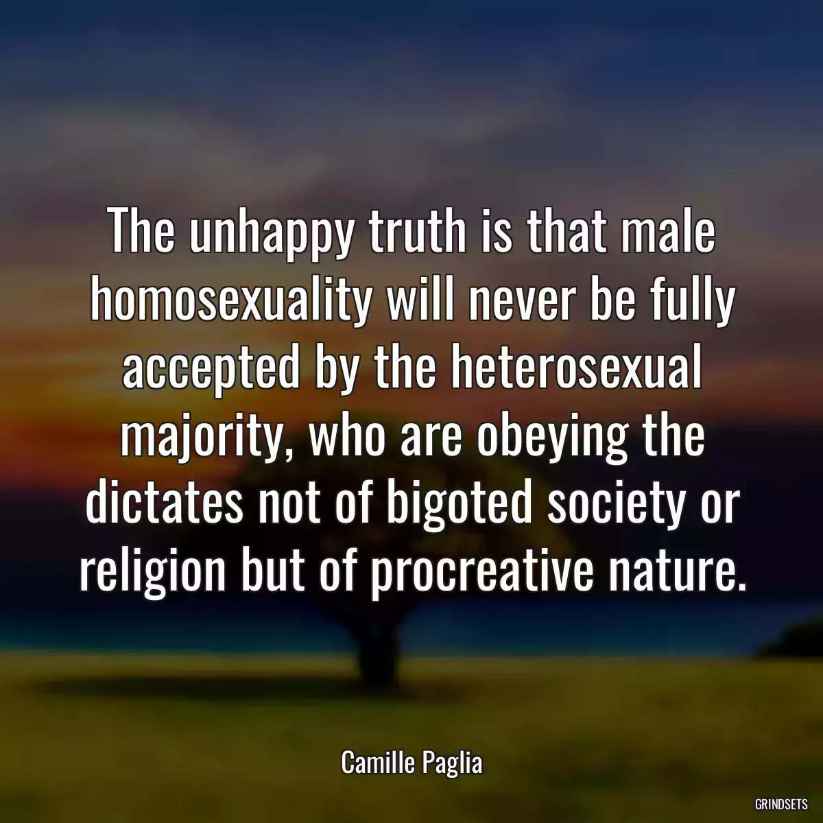 The unhappy truth is that male homosexuality will never be fully accepted by the heterosexual majority, who are obeying the dictates not of bigoted society or religion but of procreative nature.