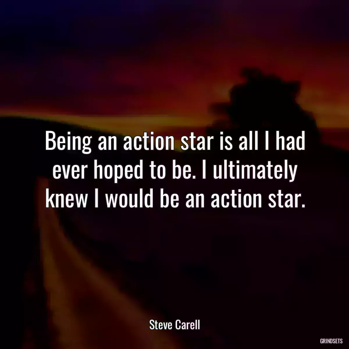 Being an action star is all I had ever hoped to be. I ultimately knew I would be an action star.