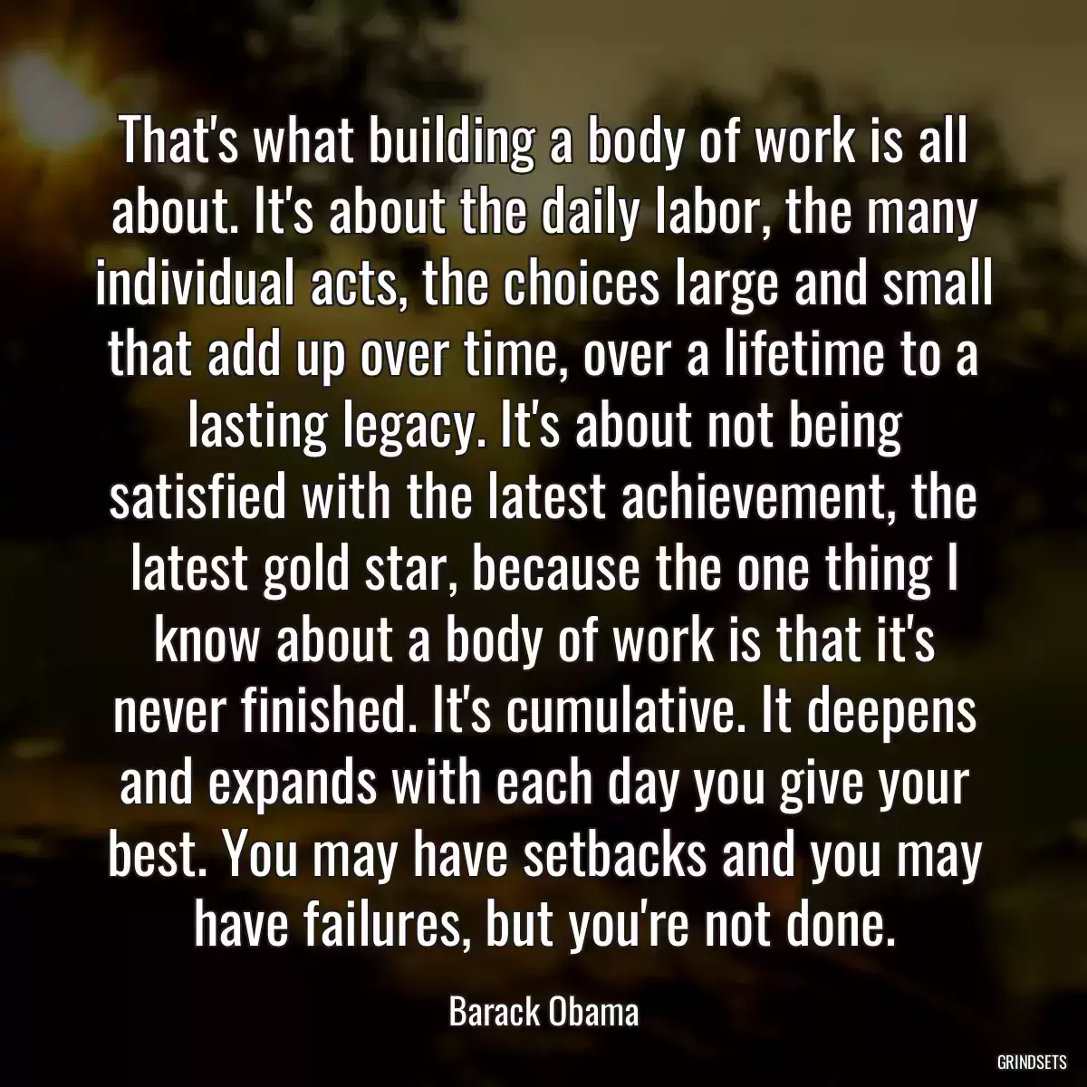 That\'s what building a body of work is all about. It\'s about the daily labor, the many individual acts, the choices large and small that add up over time, over a lifetime to a lasting legacy. It\'s about not being satisfied with the latest achievement, the latest gold star, because the one thing I know about a body of work is that it\'s never finished. It\'s cumulative. It deepens and expands with each day you give your best. You may have setbacks and you may have failures, but you\'re not done.