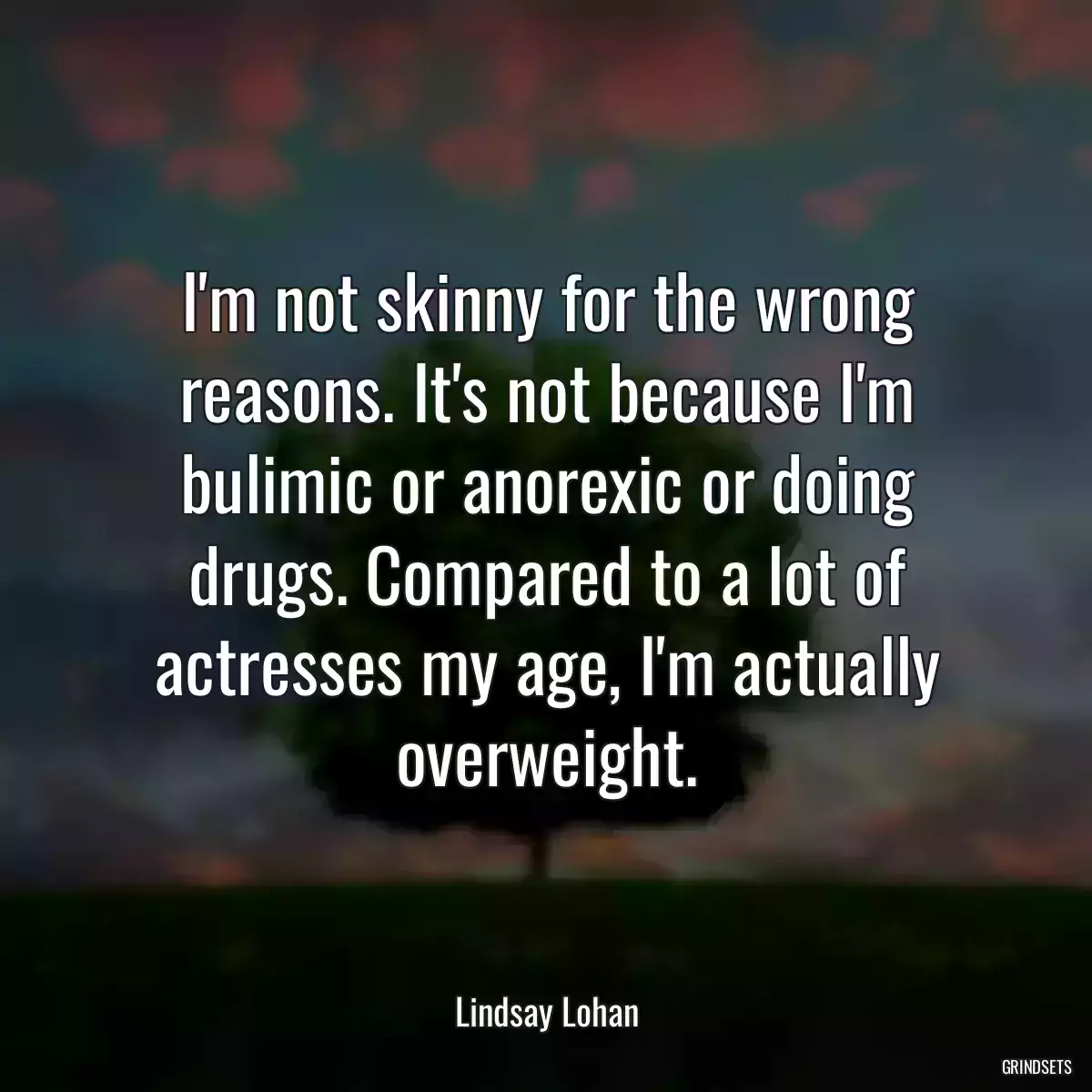 I\'m not skinny for the wrong reasons. It\'s not because I\'m bulimic or anorexic or doing drugs. Compared to a lot of actresses my age, I\'m actually overweight.