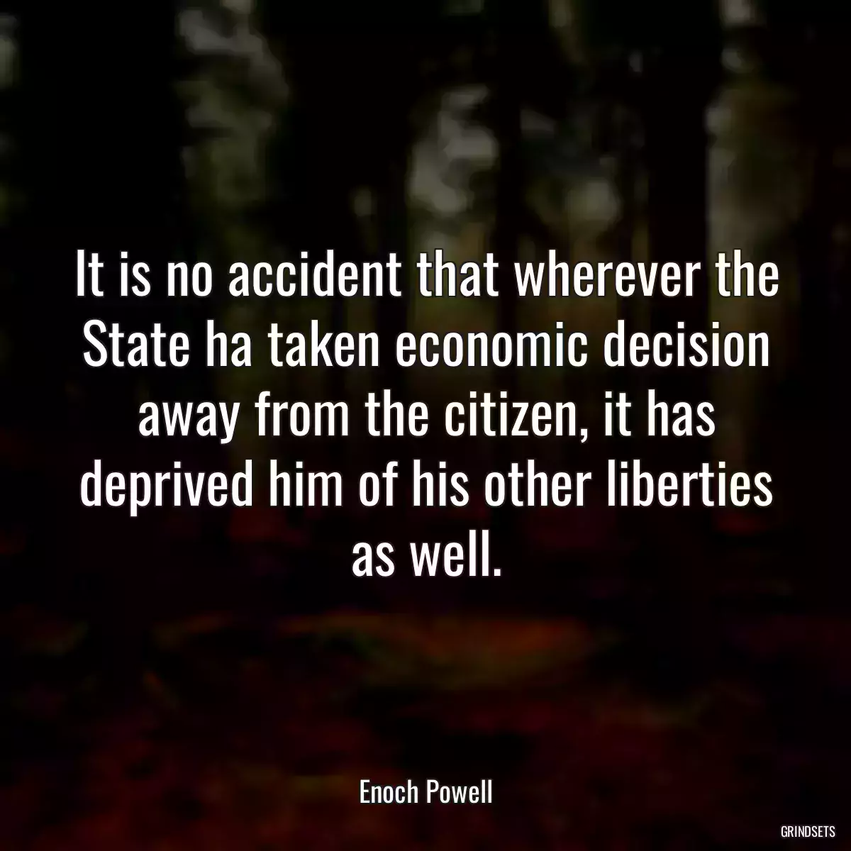 It is no accident that wherever the State ha taken economic decision away from the citizen, it has deprived him of his other liberties as well.