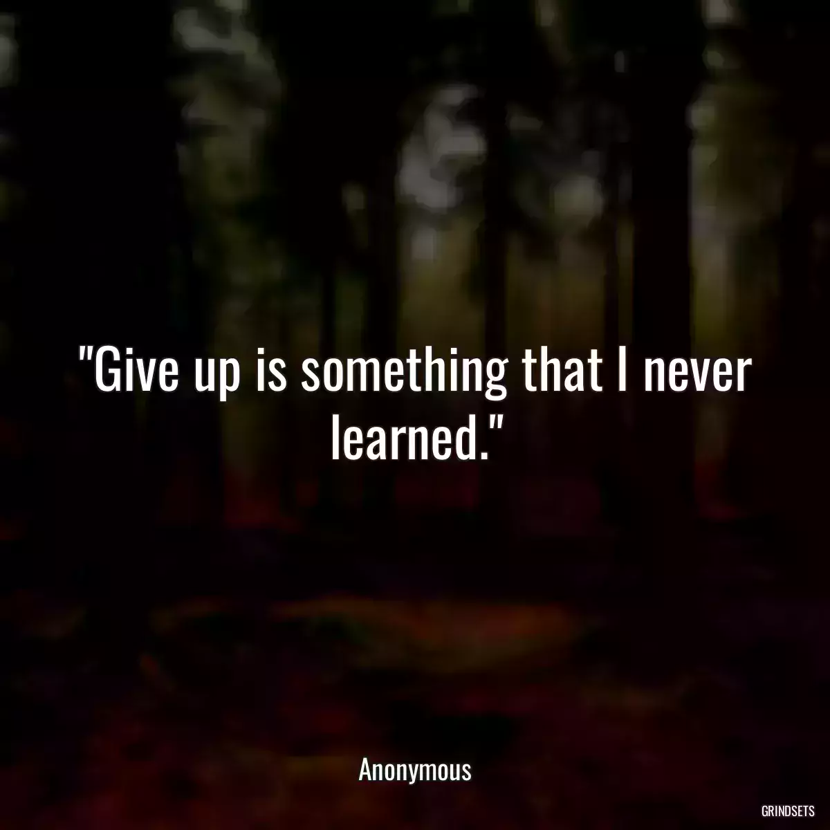 Give up is something that I never learned.