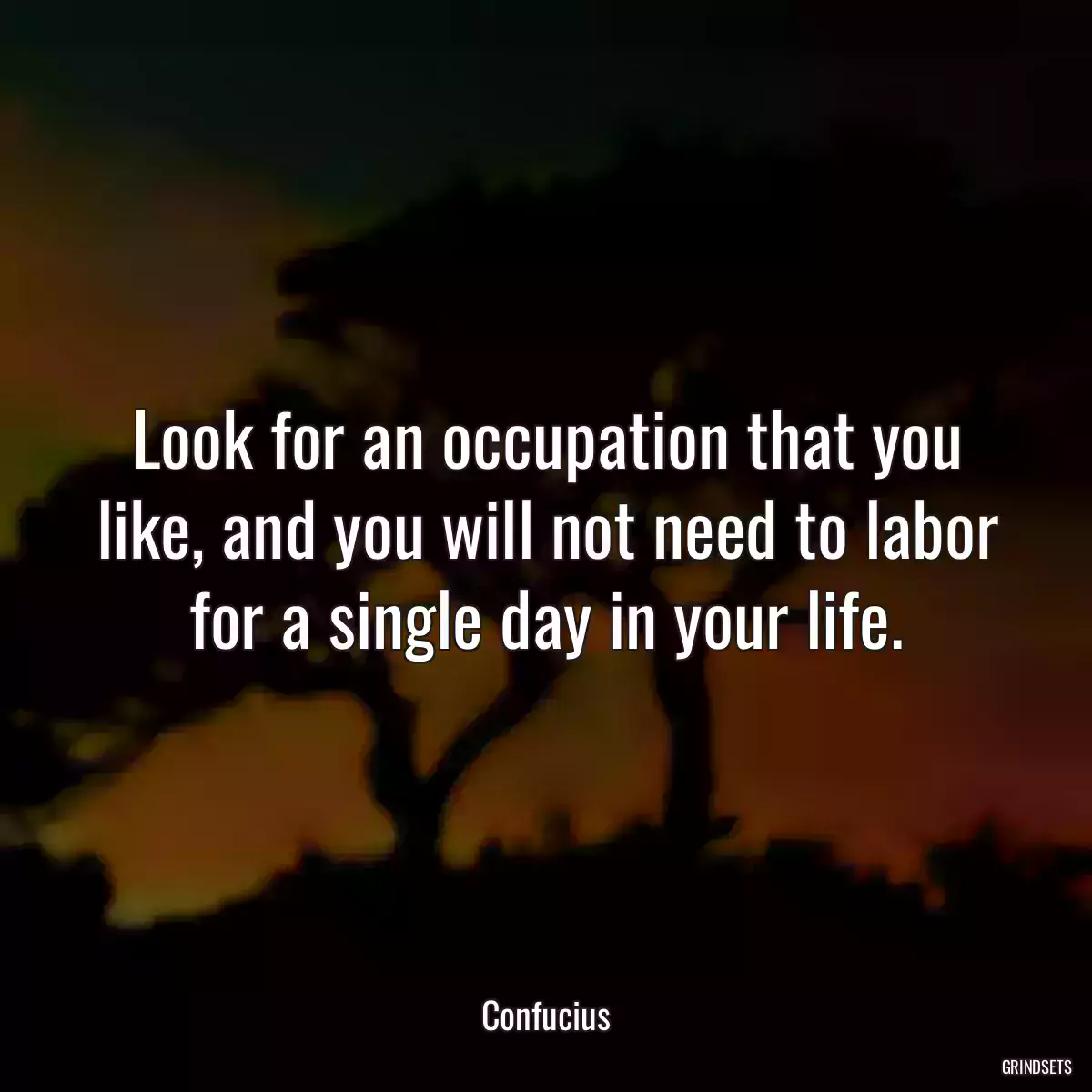 Look for an occupation that you like, and you will not need to labor for a single day in your life.