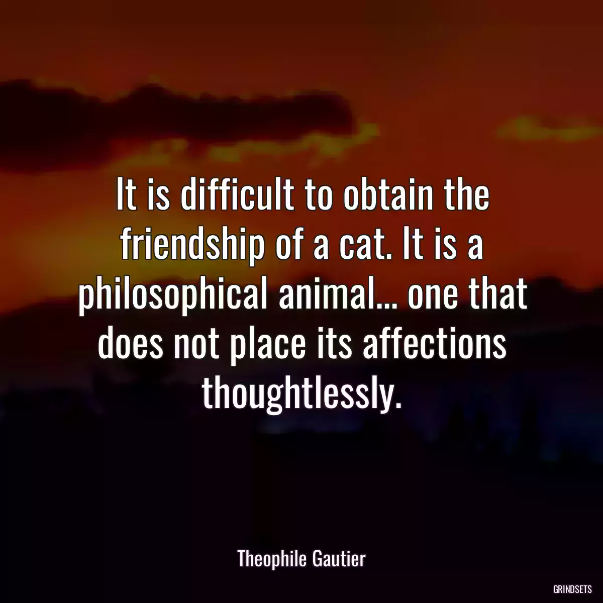 It is difficult to obtain the friendship of a cat. It is a philosophical animal... one that does not place its affections thoughtlessly.