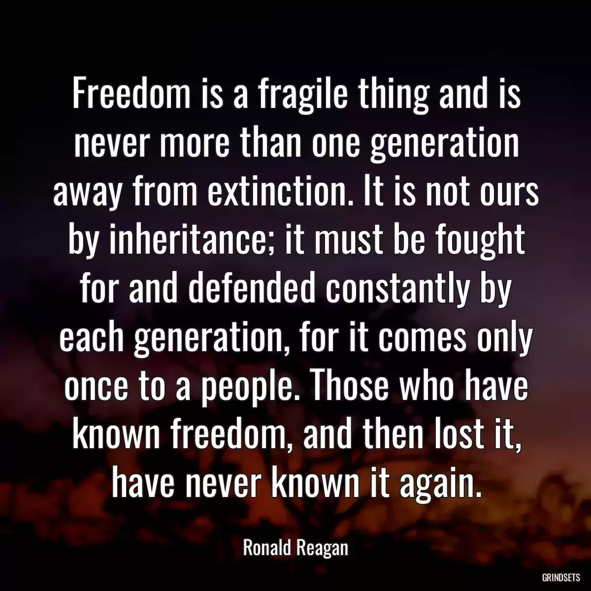 Freedom is a fragile thing and is never more than one generation away from extinction. It is not ours by inheritance; it must be fought for and defended constantly by each generation, for it comes only once to a people. Those who have known freedom, and then lost it, have never known it again.