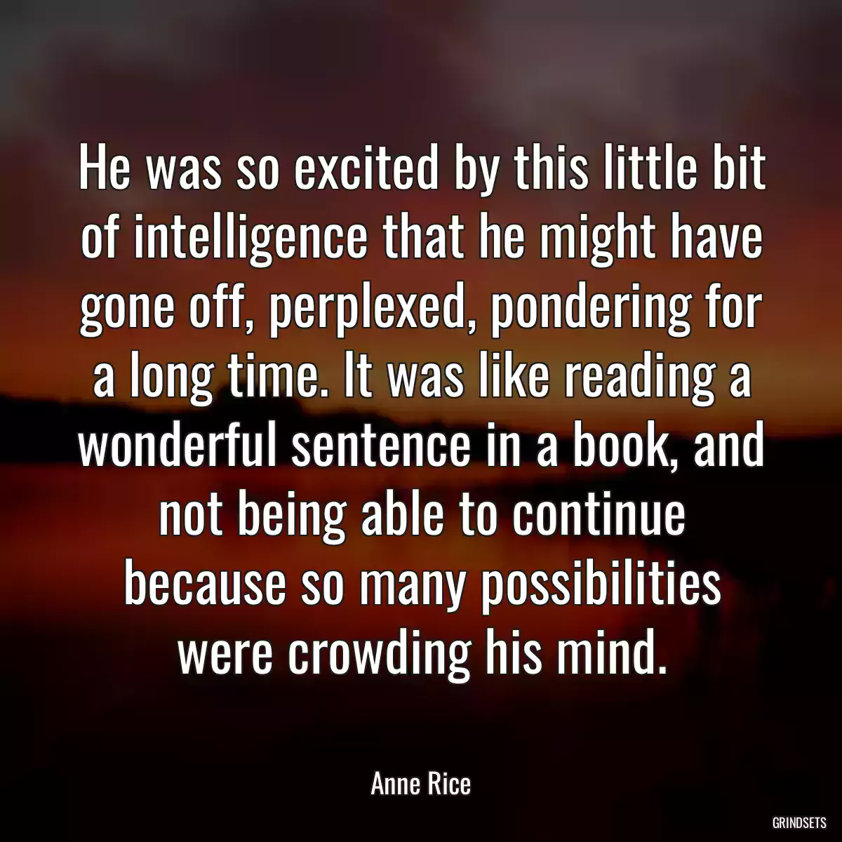 He was so excited by this little bit of intelligence that he might have gone off, perplexed, pondering for a long time. It was like reading a wonderful sentence in a book, and not being able to continue because so many possibilities were crowding his mind.