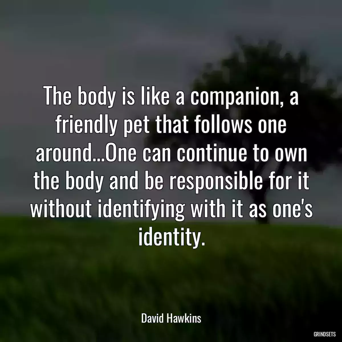 The body is like a companion, a friendly pet that follows one around...One can continue to own the body and be responsible for it without identifying with it as one\'s identity.