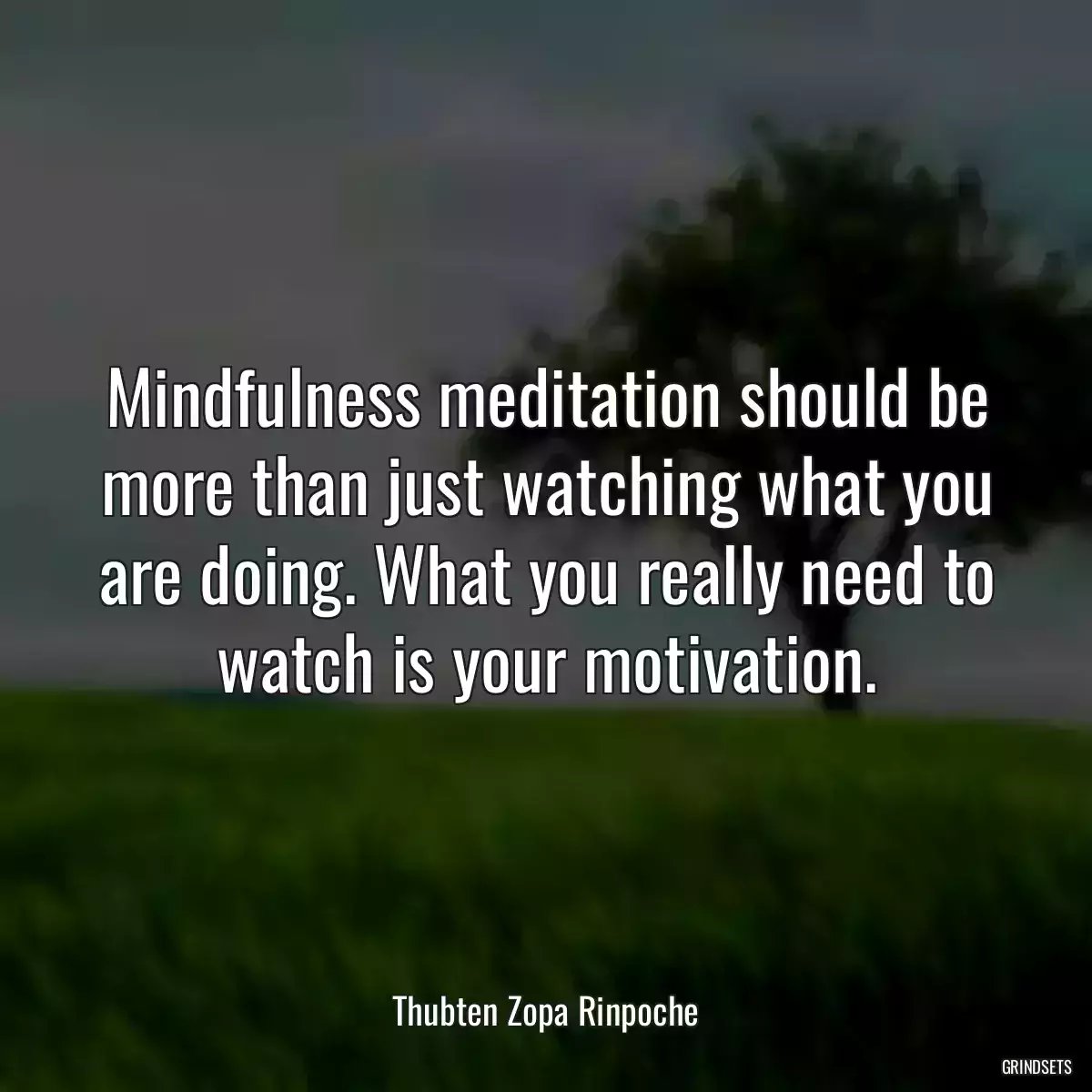 Mindfulness meditation should be more than just watching what you are doing. What you really need to watch is your motivation.