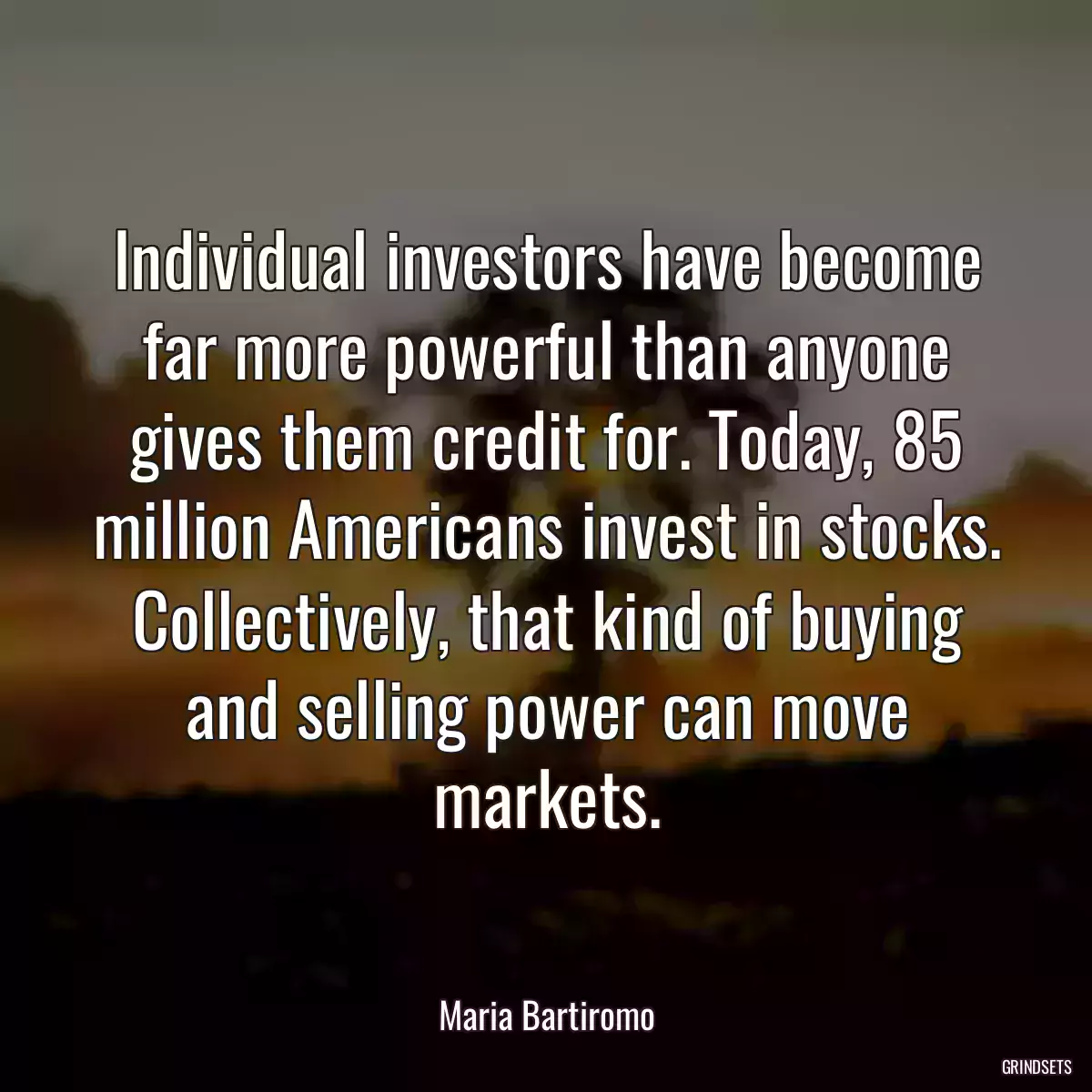 Individual investors have become far more powerful than anyone gives them credit for. Today, 85 million Americans invest in stocks. Collectively, that kind of buying and selling power can move markets.