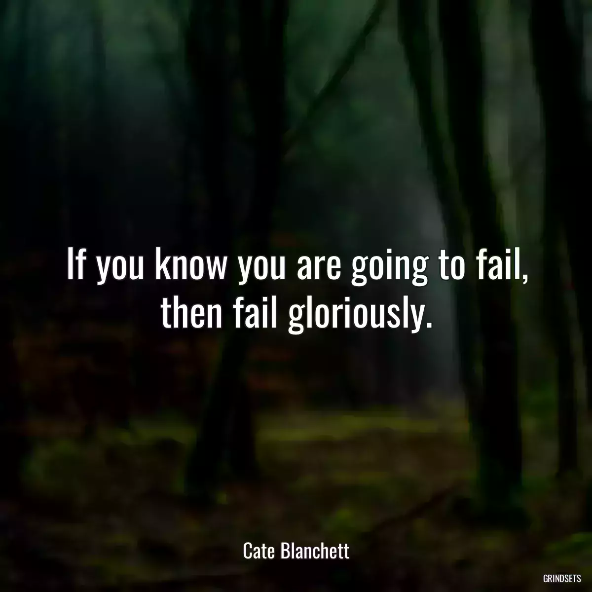 If you know you are going to fail, then fail gloriously.