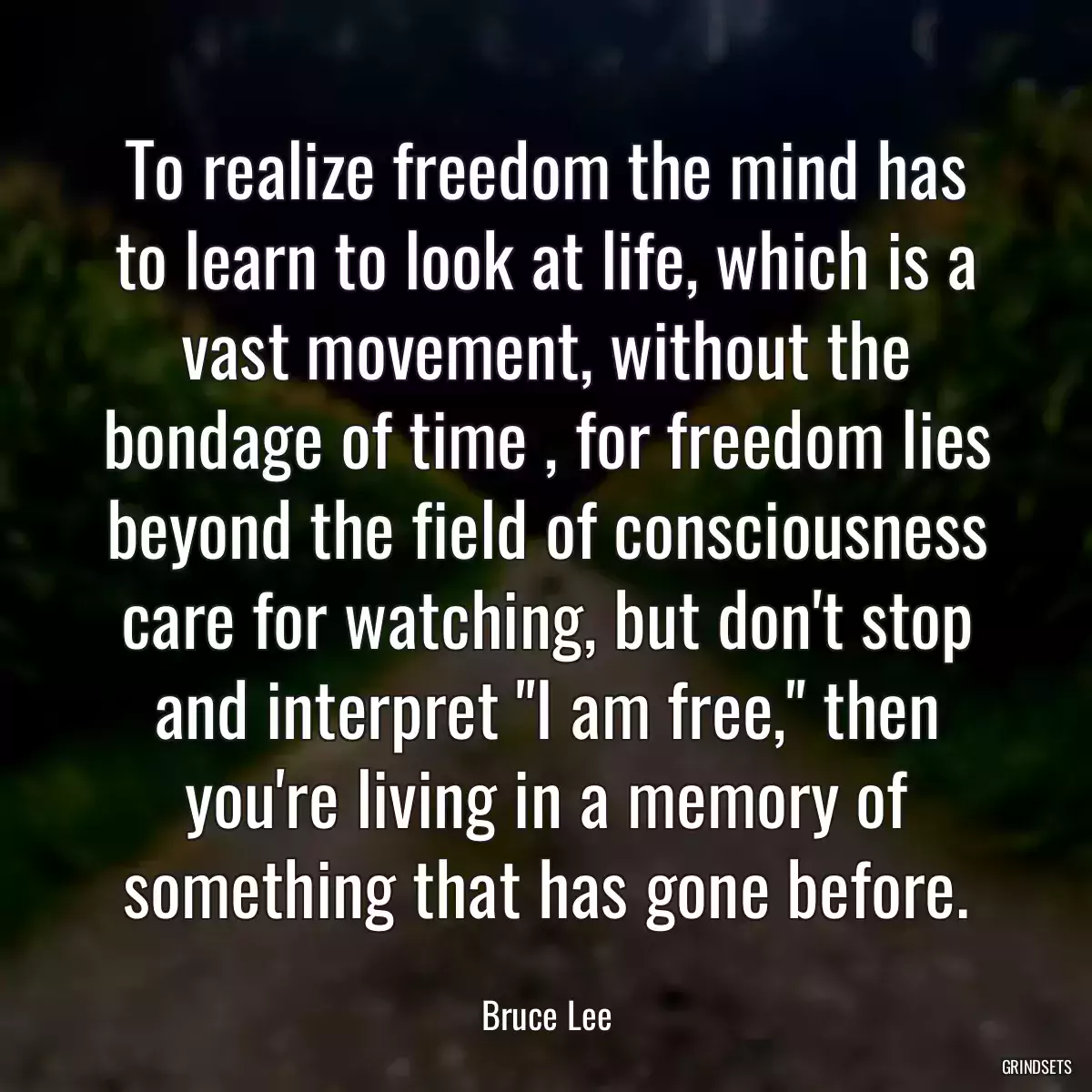 To realize freedom the mind has to learn to look at life, which is a vast movement, without the bondage of time , for freedom lies beyond the field of consciousness care for watching, but don\'t stop and interpret \