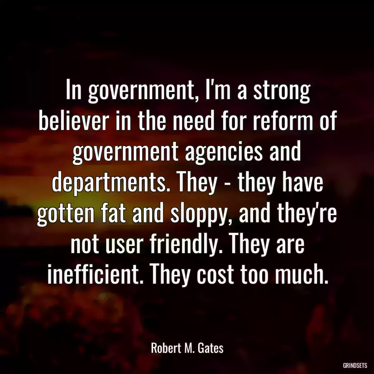 In government, I\'m a strong believer in the need for reform of government agencies and departments. They - they have gotten fat and sloppy, and they\'re not user friendly. They are inefficient. They cost too much.