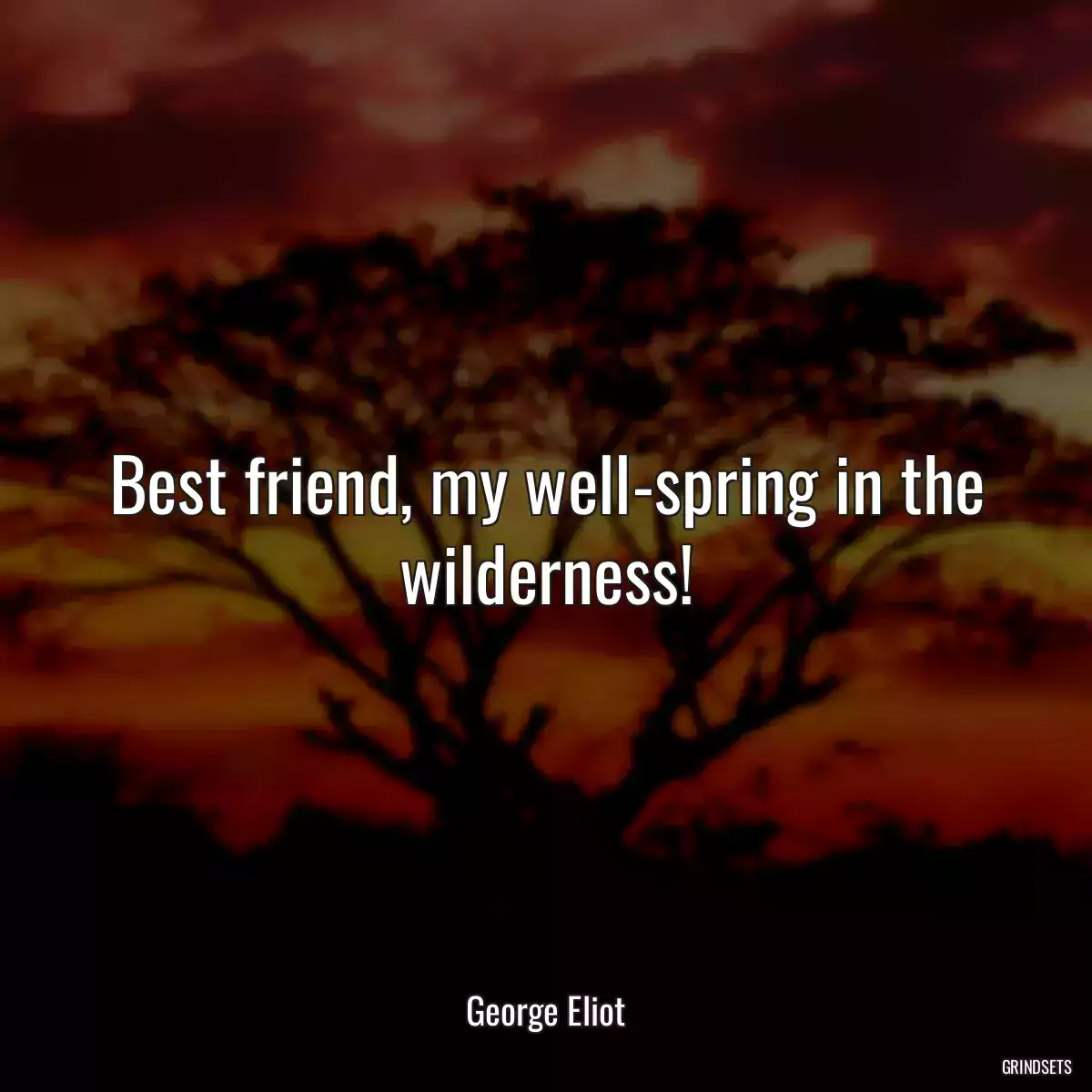 Best friend, my well-spring in the wilderness!