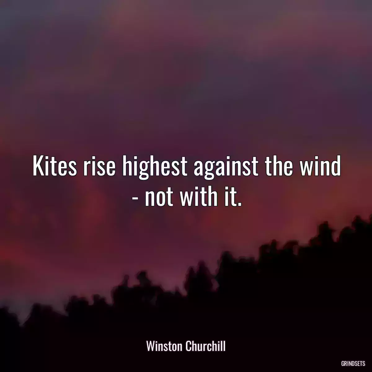 Kites rise highest against the wind - not with it.