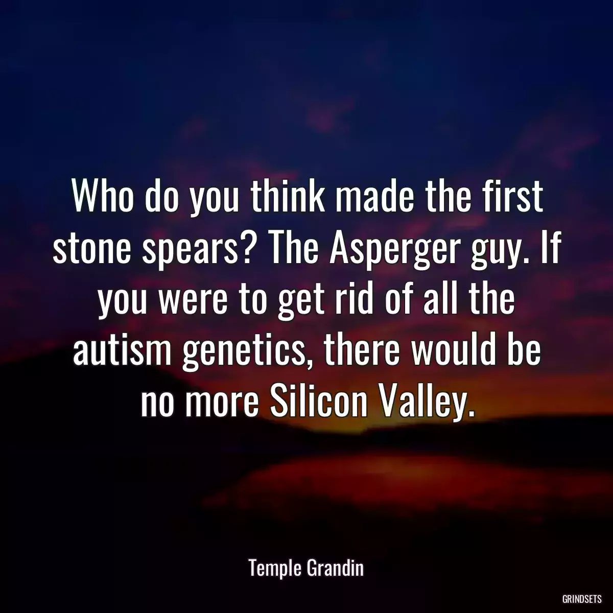 Who do you think made the first stone spears? The Asperger guy. If you were to get rid of all the autism genetics, there would be no more Silicon Valley.