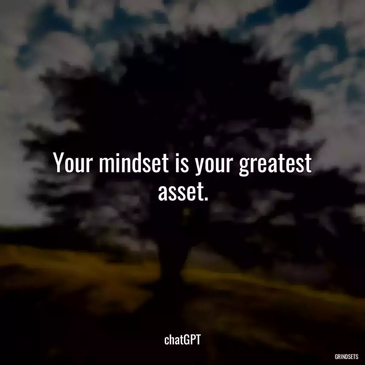 Your mindset is your greatest asset.