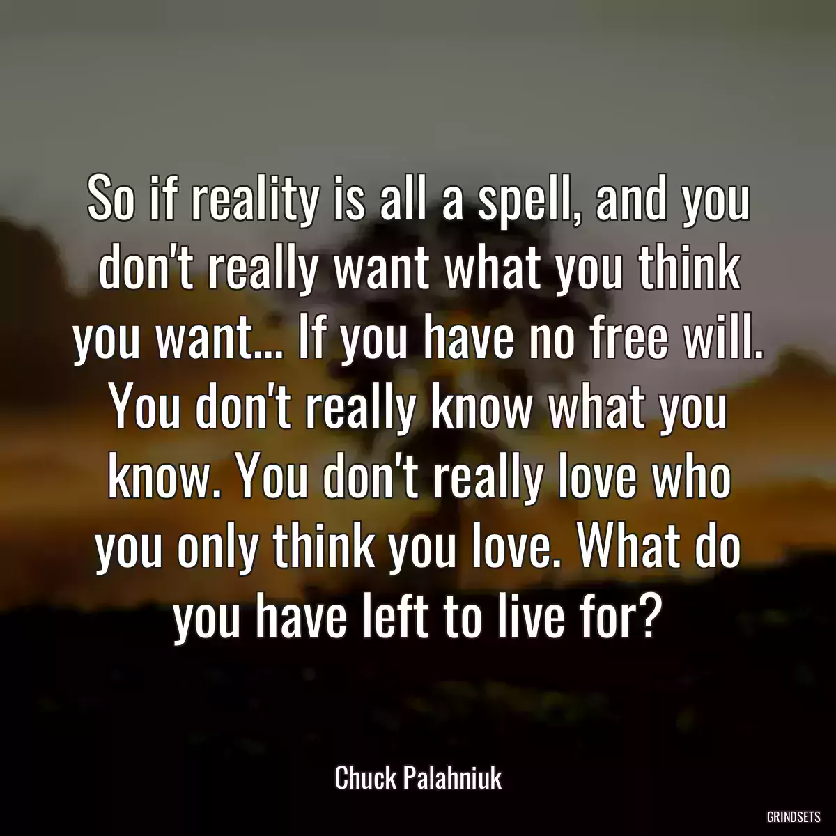 So if reality is all a spell, and you don\'t really want what you think you want... If you have no free will. You don\'t really know what you know. You don\'t really love who you only think you love. What do you have left to live for?