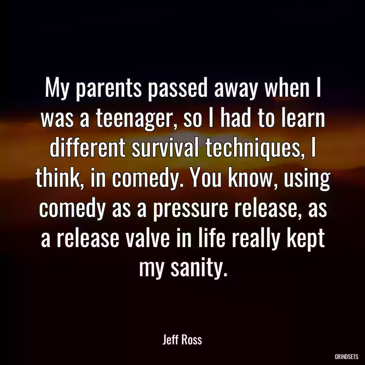 My parents passed away when I was a teenager, so I had to learn different survival techniques, I think, in comedy. You know, using comedy as a pressure release, as a release valve in life really kept my sanity.