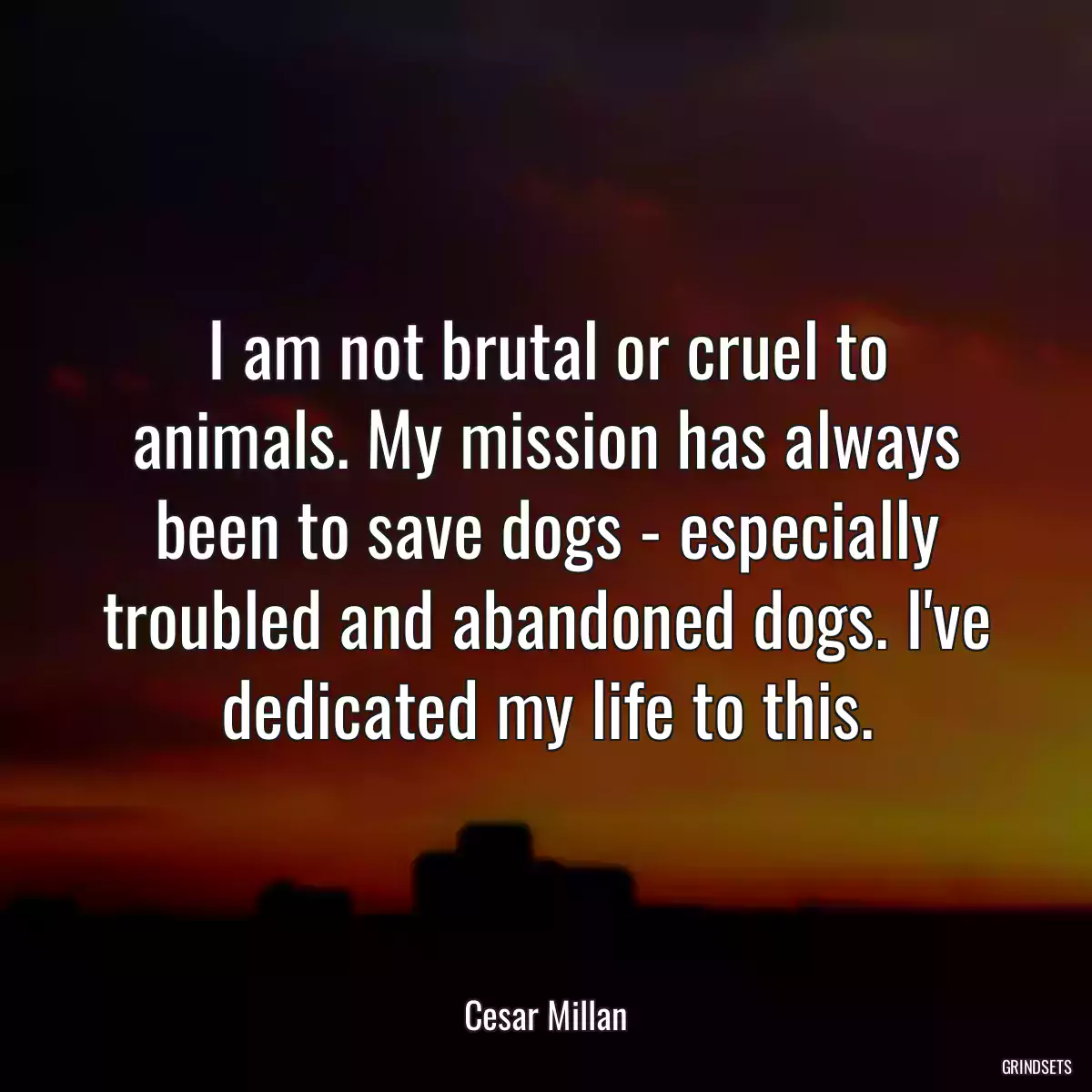 I am not brutal or cruel to animals. My mission has always been to save dogs - especially troubled and abandoned dogs. I\'ve dedicated my life to this.