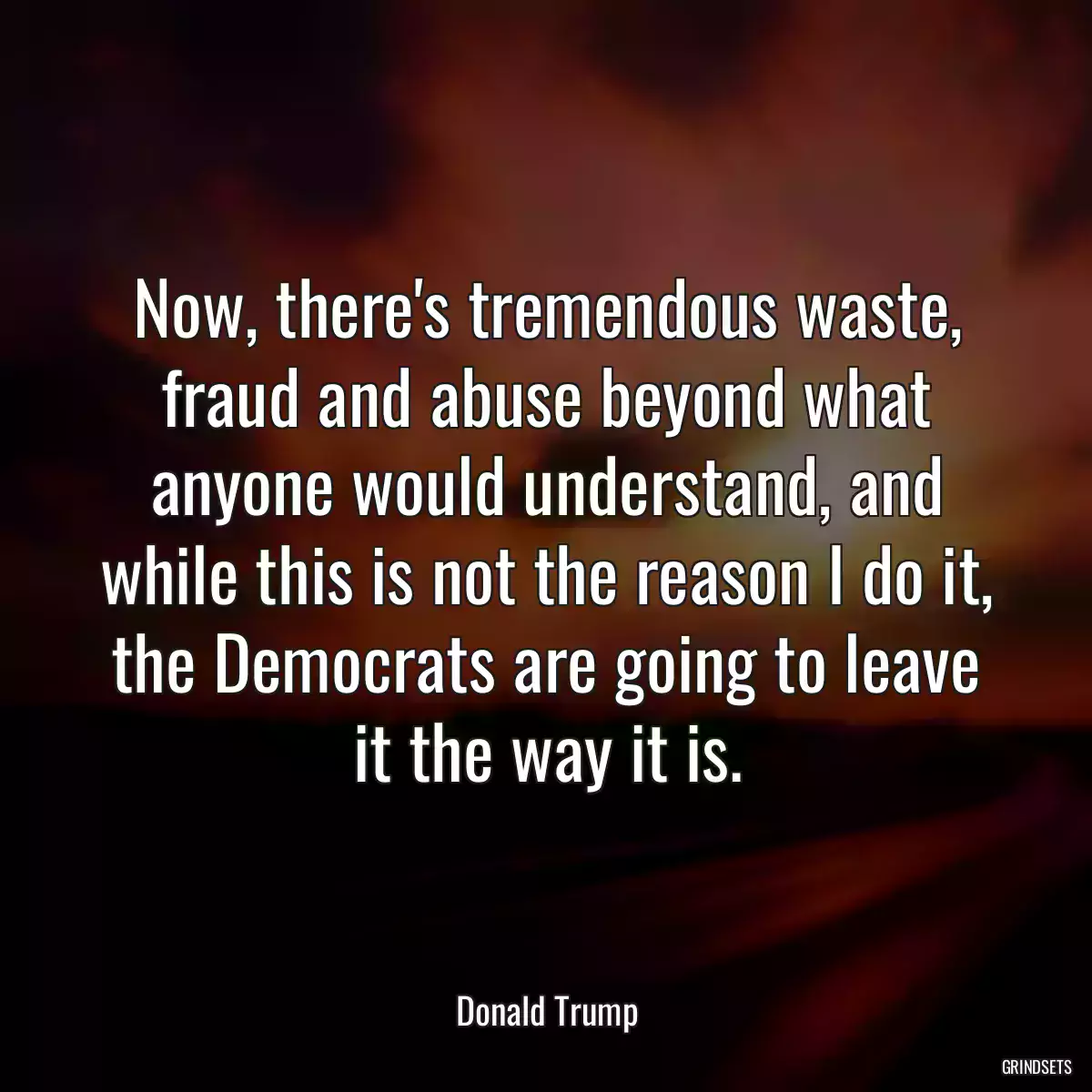 Now, there\'s tremendous waste, fraud and abuse beyond what anyone would understand, and while this is not the reason I do it, the Democrats are going to leave it the way it is.