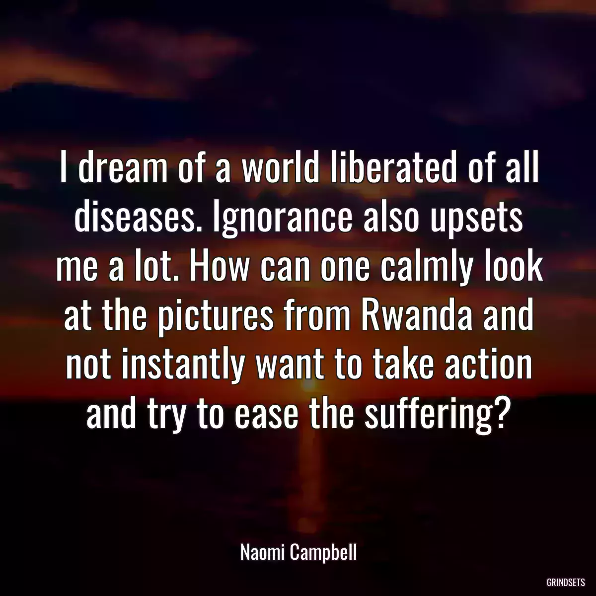 I dream of a world liberated of all diseases. Ignorance also upsets me a lot. How can one calmly look at the pictures from Rwanda and not instantly want to take action and try to ease the suffering?