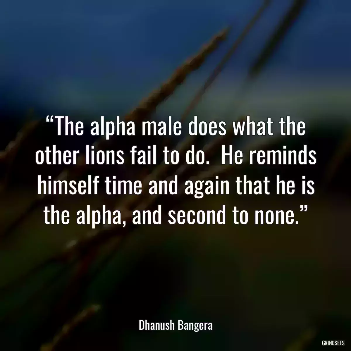 “The alpha male does what the other lions fail to do.  He reminds himself time and again that he is the alpha, and second to none.”