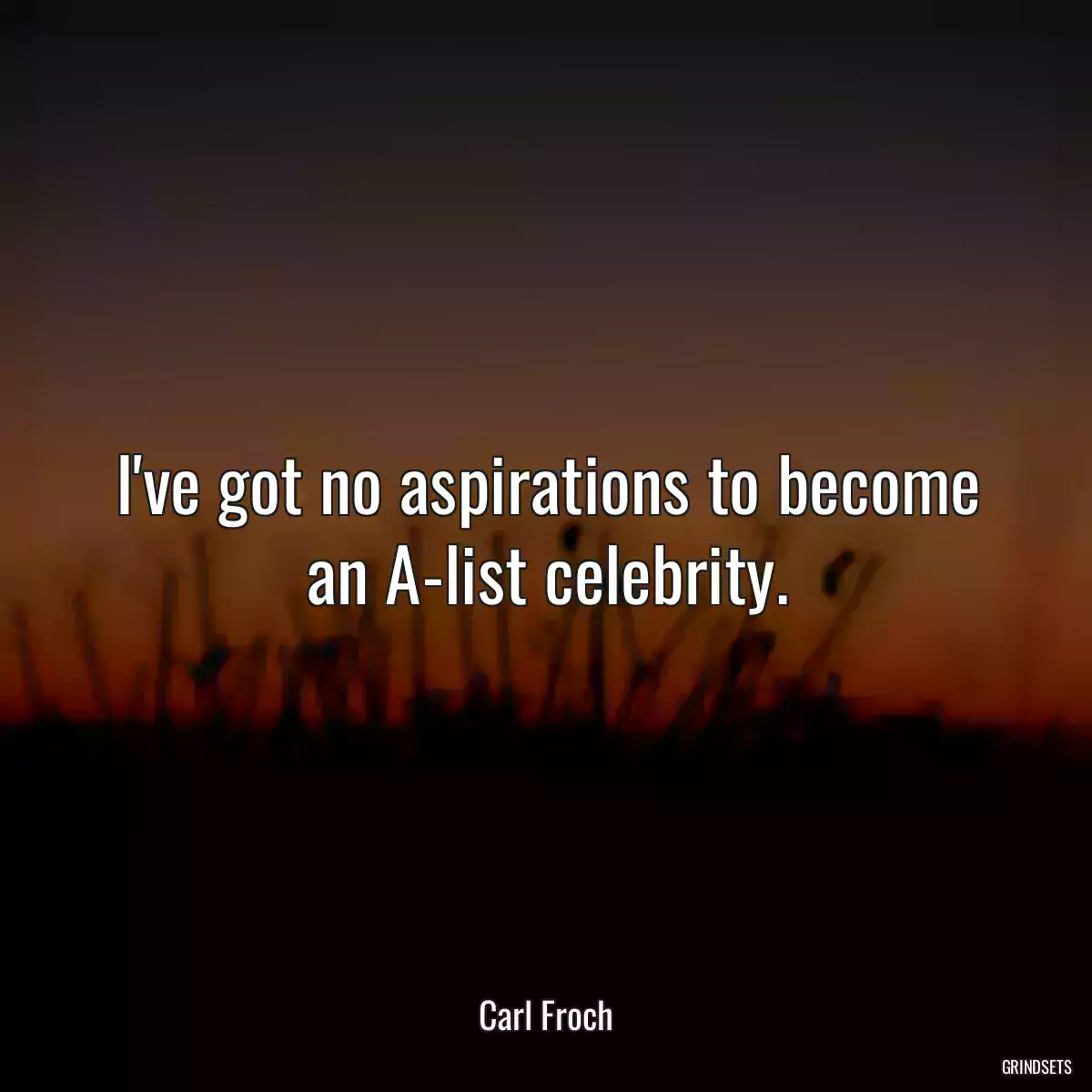 I\'ve got no aspirations to become an A-list celebrity.