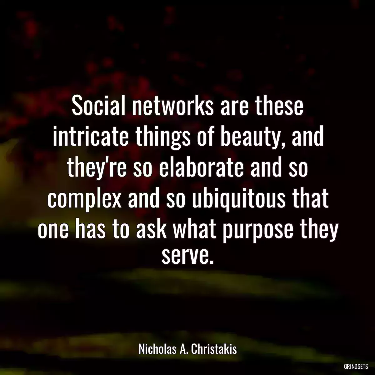 Social networks are these intricate things of beauty, and they\'re so elaborate and so complex and so ubiquitous that one has to ask what purpose they serve.