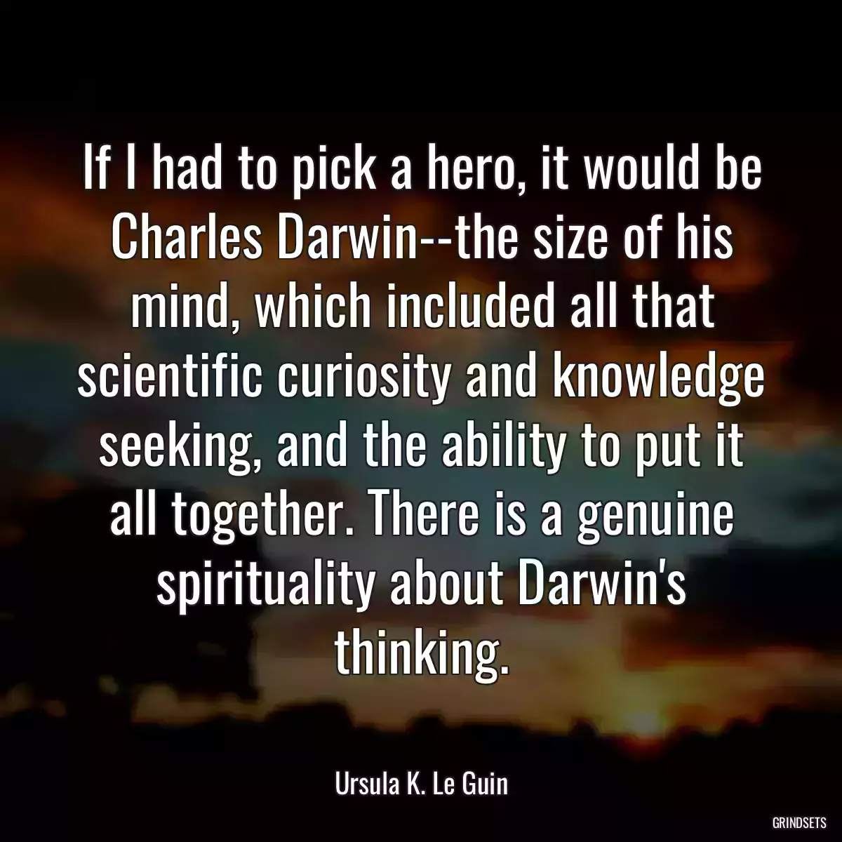 If I had to pick a hero, it would be Charles Darwin--the size of his mind, which included all that scientific curiosity and knowledge seeking, and the ability to put it all together. There is a genuine spirituality about Darwin\'s thinking.