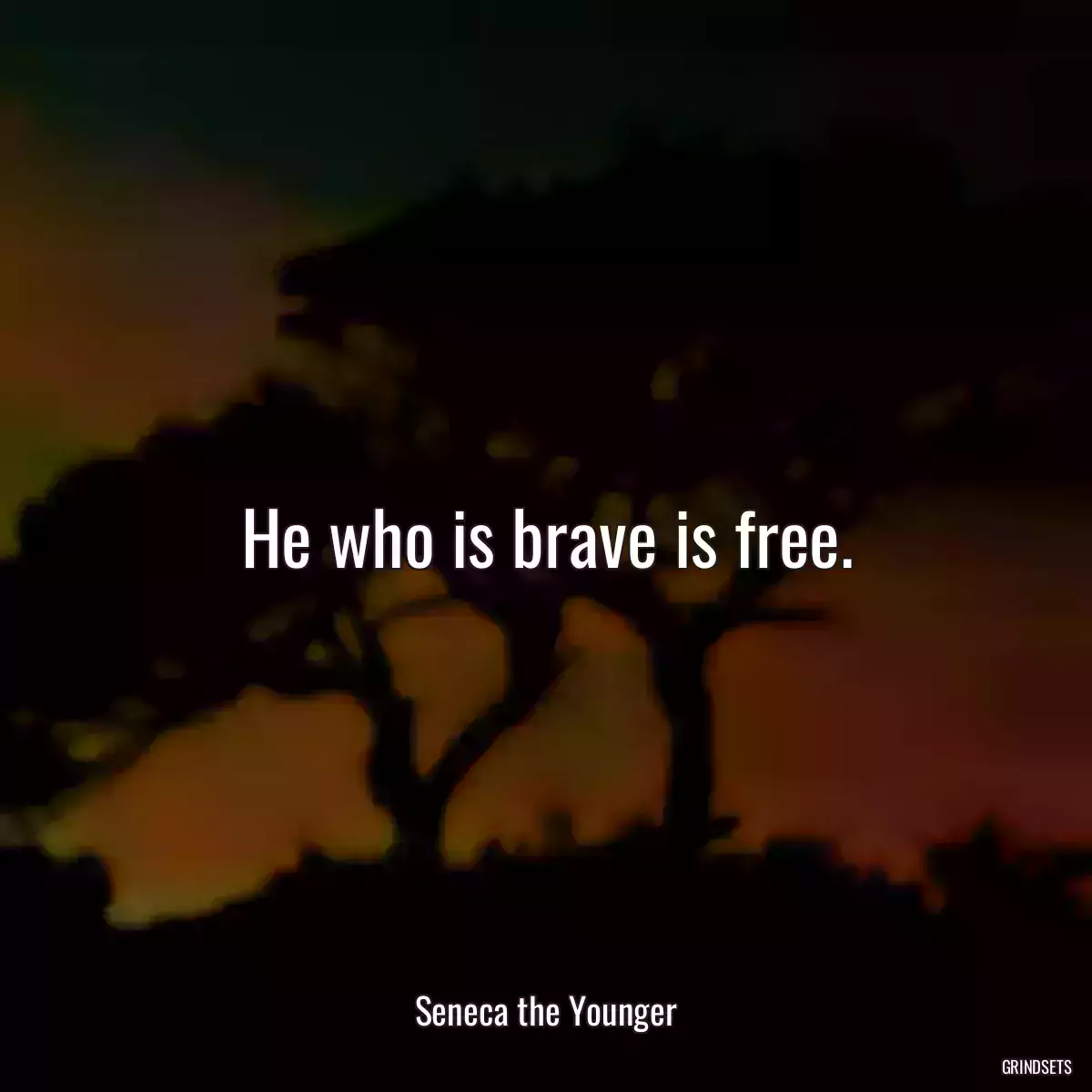 He who is brave is free.