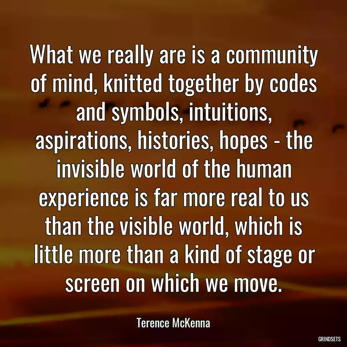 What we really are is a community of mind, knitted together by codes and symbols, intuitions, aspirations, histories, hopes - the invisible world of the human experience is far more real to us than the visible world, which is little more than a kind of stage or screen on which we move.