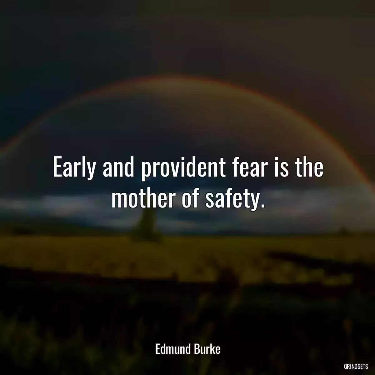 Early and provident fear is the mother of safety.