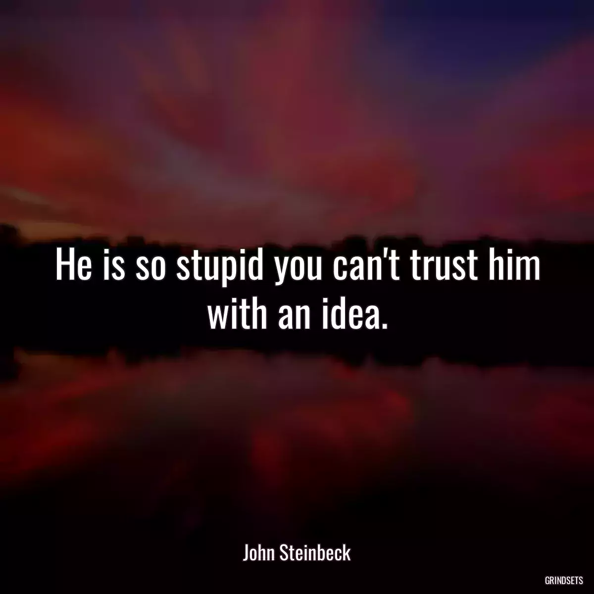 He is so stupid you can\'t trust him with an idea.