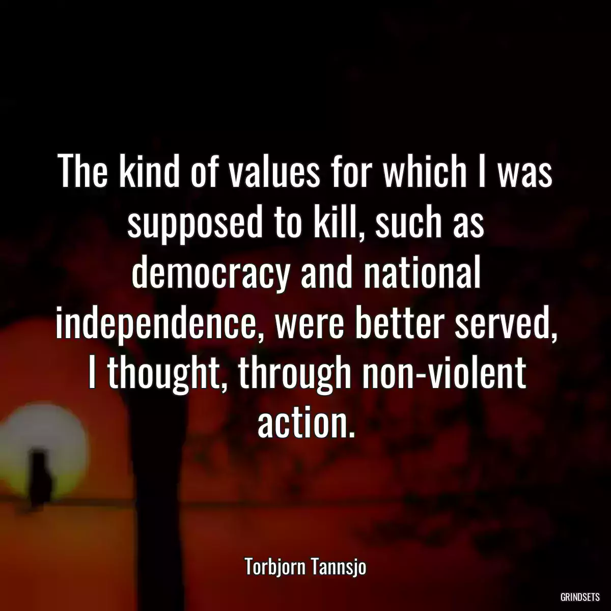 The kind of values for which I was supposed to kill, such as democracy and national independence, were better served, I thought, through non-violent action.