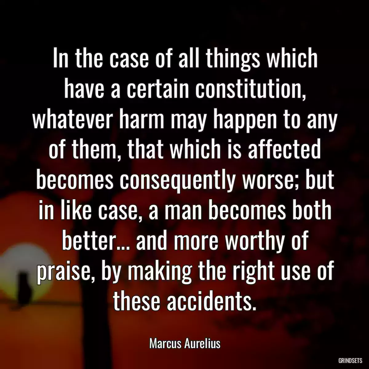 In the case of all things which have a certain constitution, whatever harm may happen to any of them, that which is affected becomes consequently worse; but in like case, a man becomes both
better... and more worthy of praise, by making the right use of these accidents.