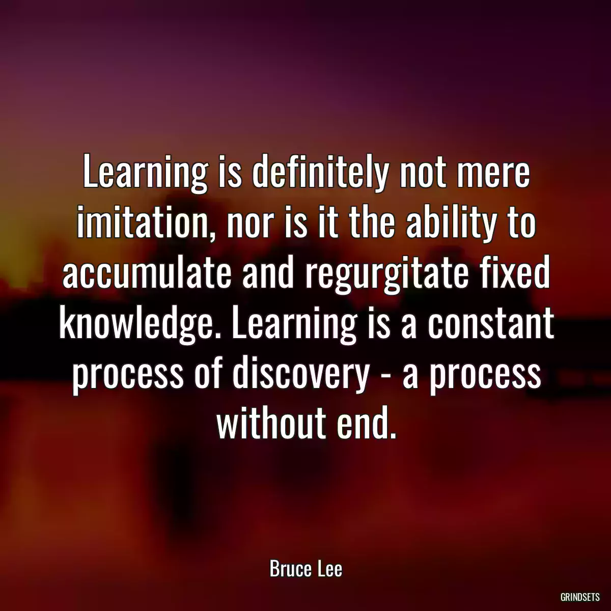 Learning is definitely not mere imitation, nor is it the ability to accumulate and regurgitate fixed knowledge. Learning is a constant process of discovery - a process without end.
