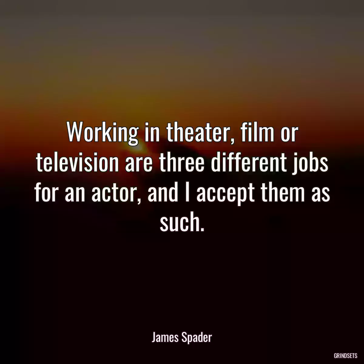 Working in theater, film or television are three different jobs for an actor, and I accept them as such.