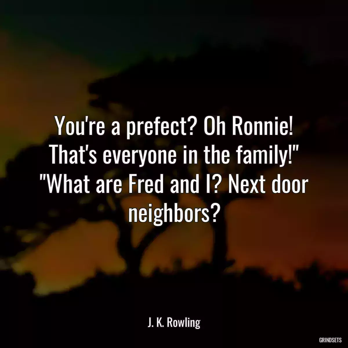 You\'re a prefect? Oh Ronnie! That\'s everyone in the family!\