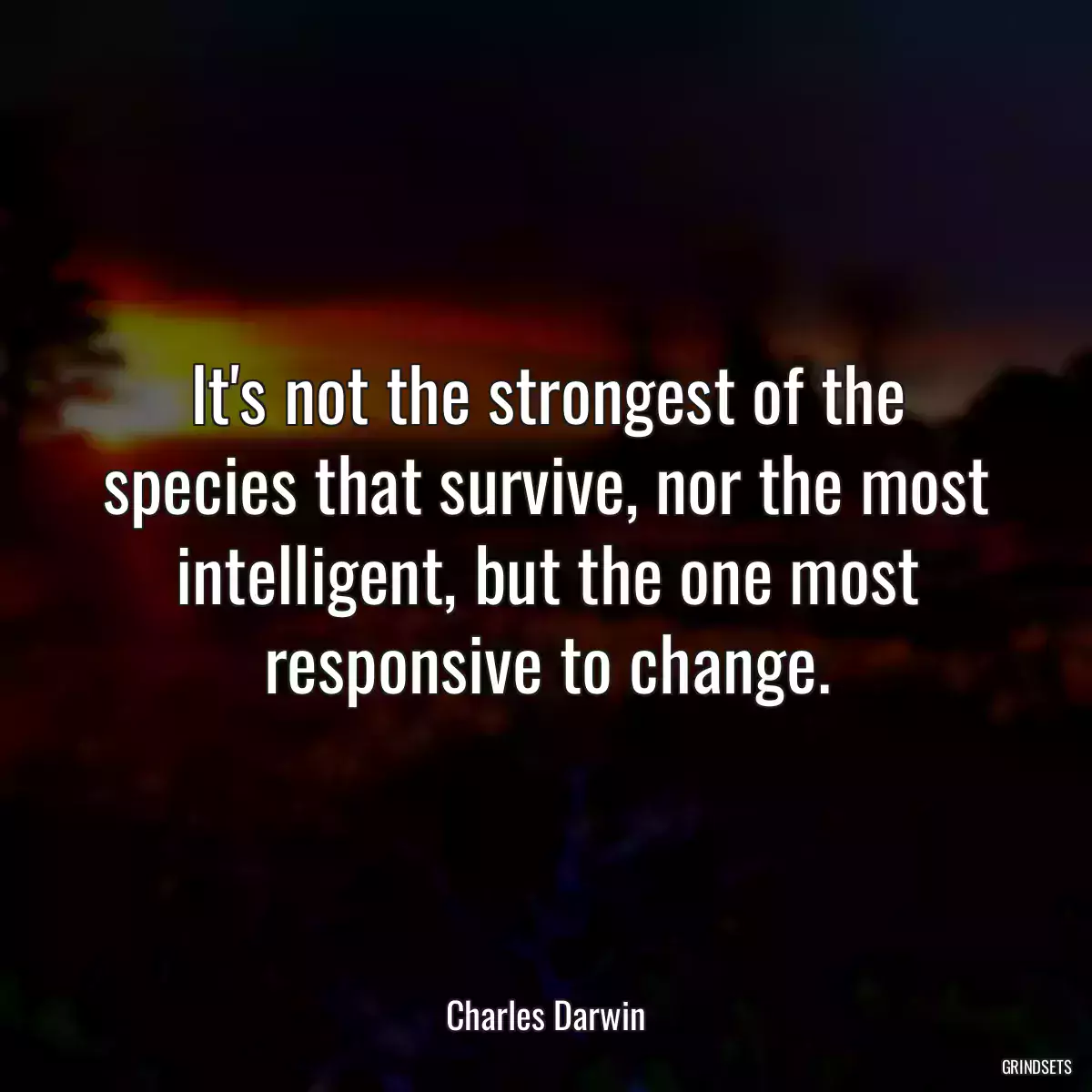 It\'s not the strongest of the species that survive, nor the most intelligent, but the one most responsive to change.