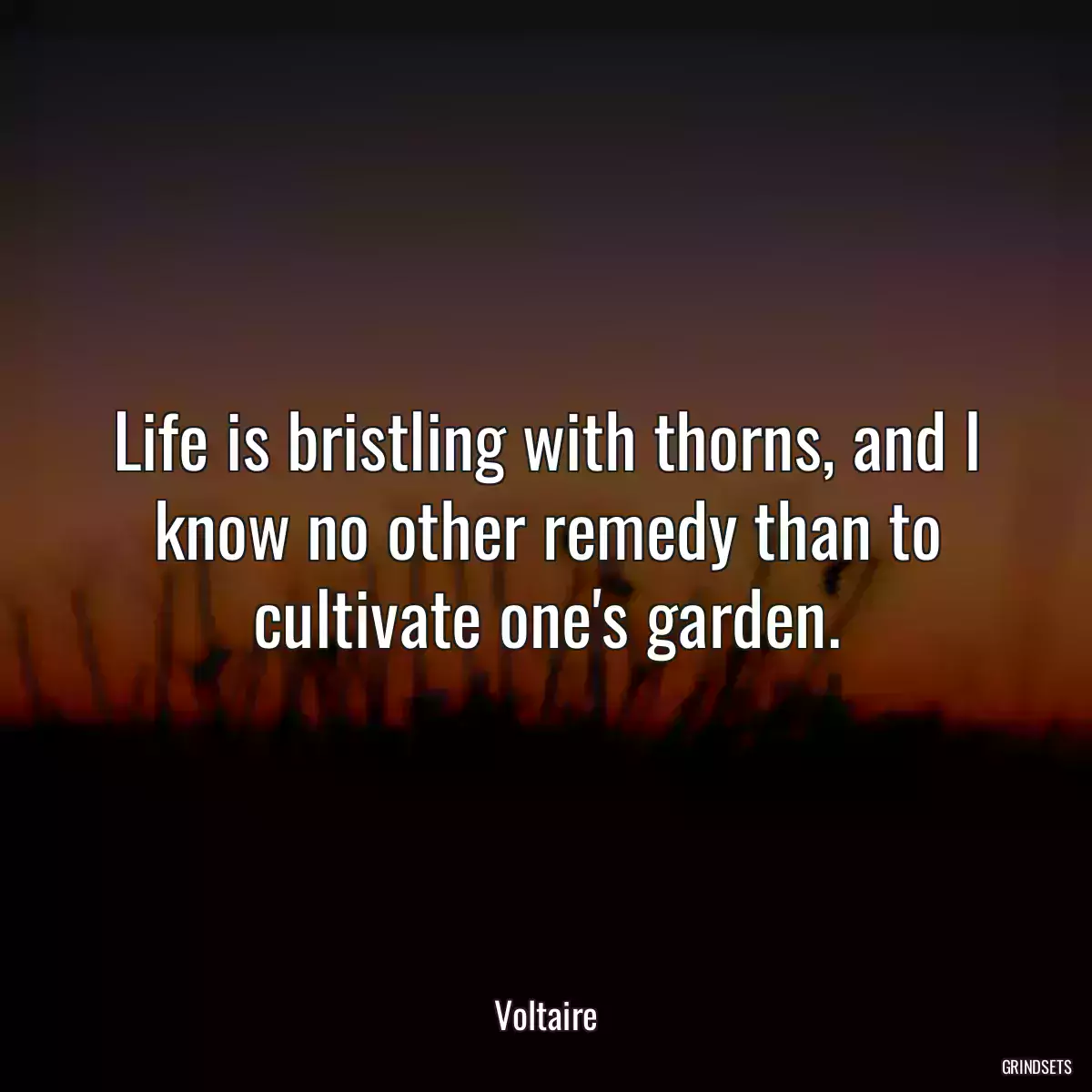 Life is bristling with thorns, and I know no other remedy than to cultivate one\'s garden.